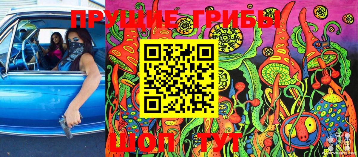 Псилоцибиновые грибы GOLDEN TEACHER  Вход с VPN  Галлюциногенные грибы Magic Shrooms  Тосно 